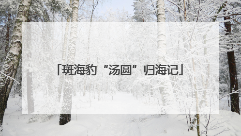 斑海豹“汤圆”归海记